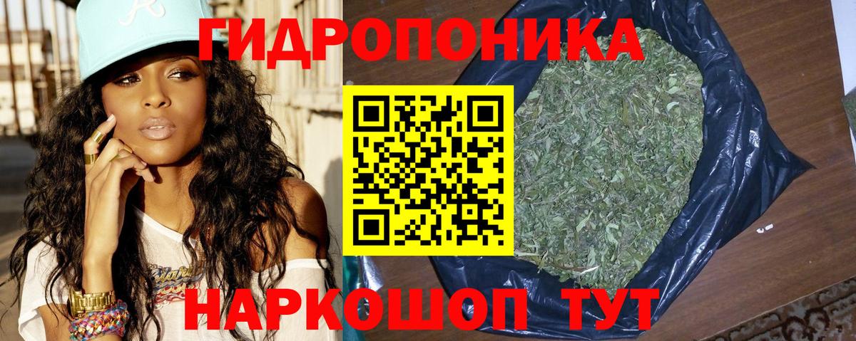 Бошки марихуана план Саки